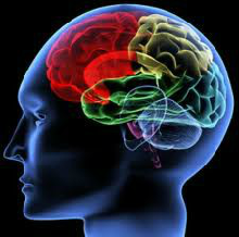 emdr1